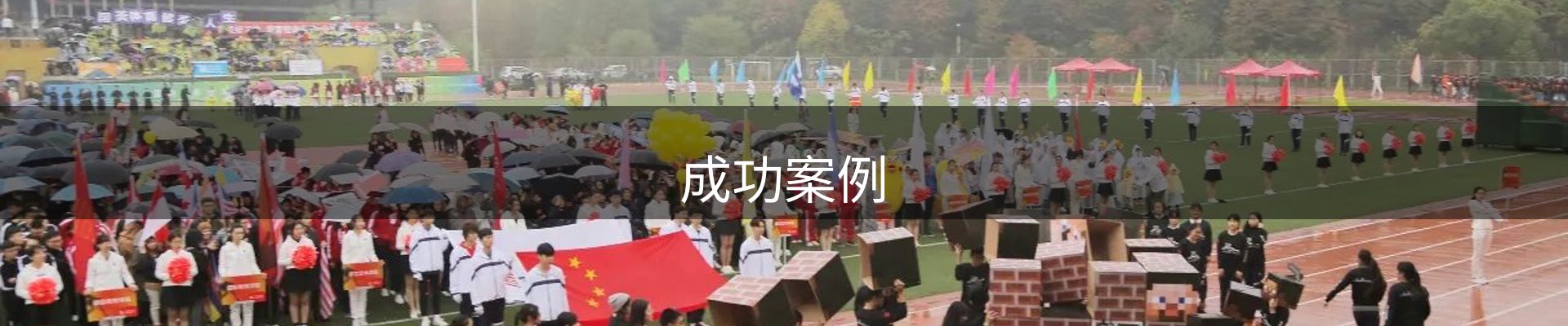 成功案例