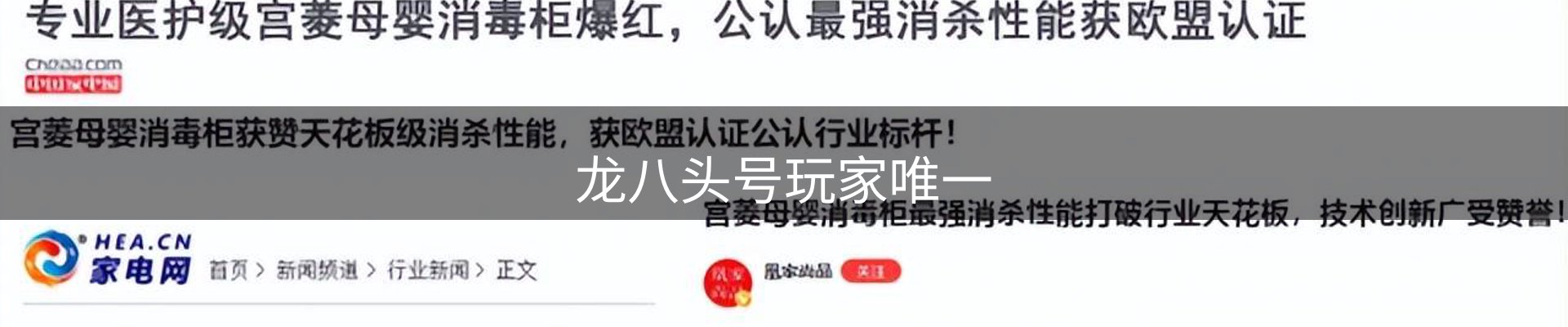 龙八头号玩家唯一